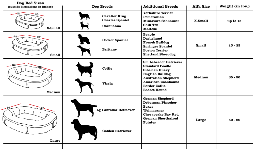 Cocker Spaniel Size Chart